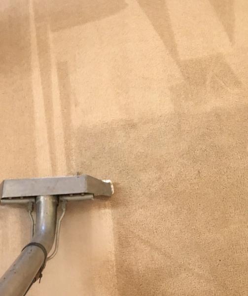 All Phase Carpet & Floor Cleaning LLC