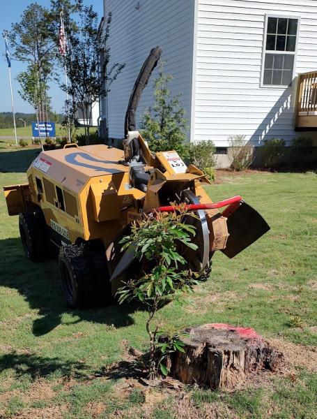 Perfect Project Stump Grinding & Yard Services