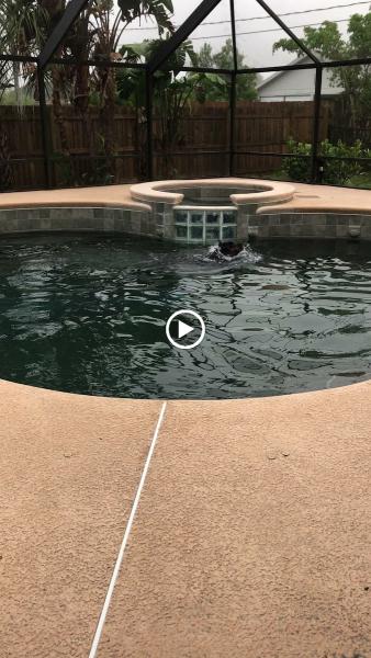 Family Pools