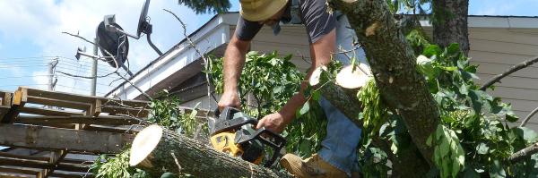 M.H. Tree Service