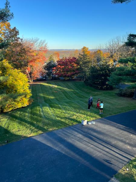 Spruce It Up Tree Care