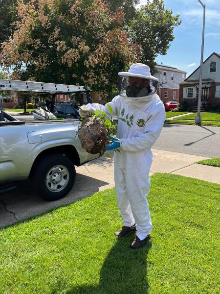 Gosafe Pest Control LLC
