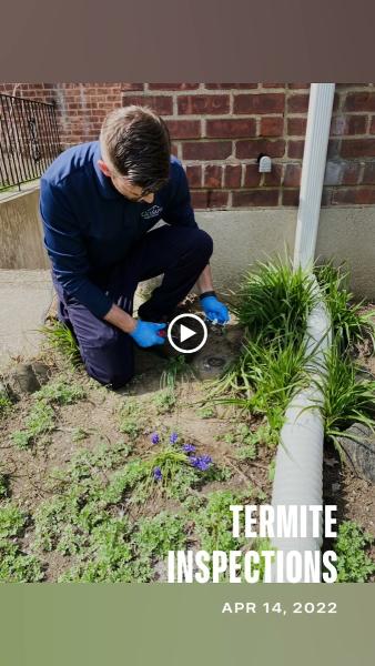 Gosafe Pest Control LLC
