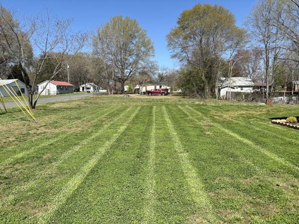 Pain in the Grass LLC