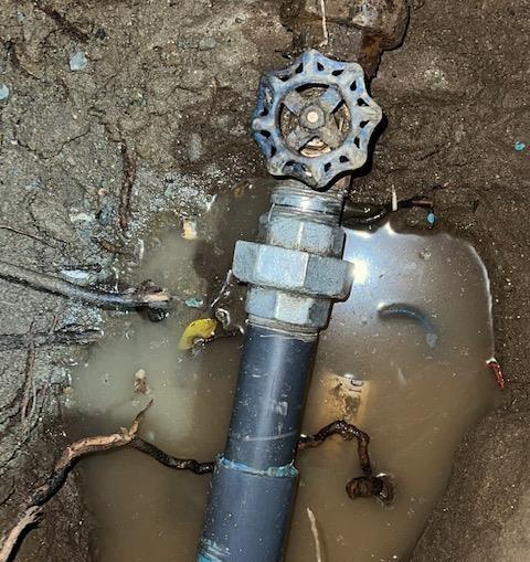 Central Valley Sewer Inc