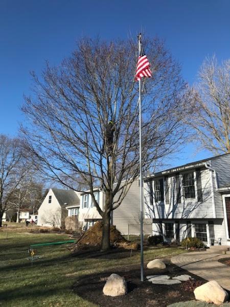 All Seasons Tree Care