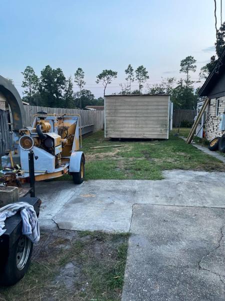 Lance Acord the Tree Surgeon LLC