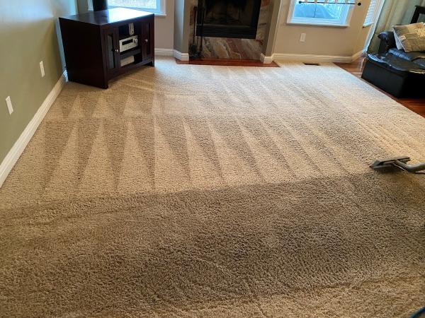 Precise Carpet Cleaning