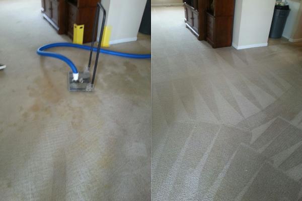 Precise Carpet Cleaning