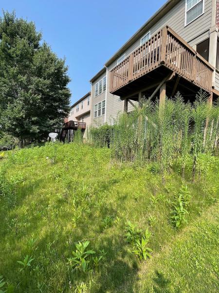 Thunderbolt Painting and Landscaping LLC