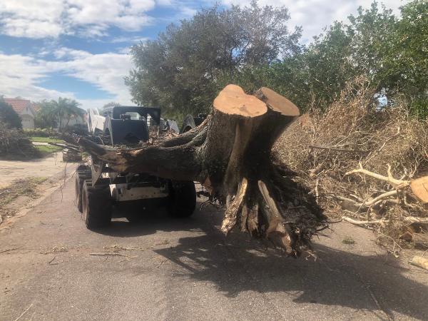 TLC Landscaping and Design Inc.