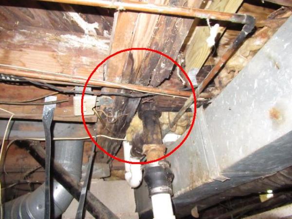 Tri-County Inspection & Consulting Services