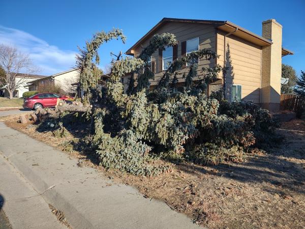 Chipper Guys Tree Service