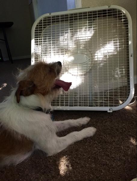 Superior Comfort Heating & Air LLC