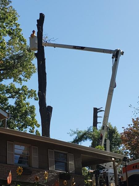 Hancock Tree Service