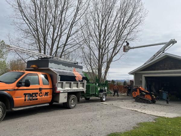 Tree Care Solutions