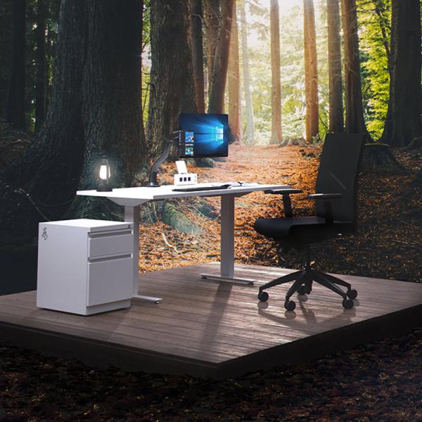 Caribou Office