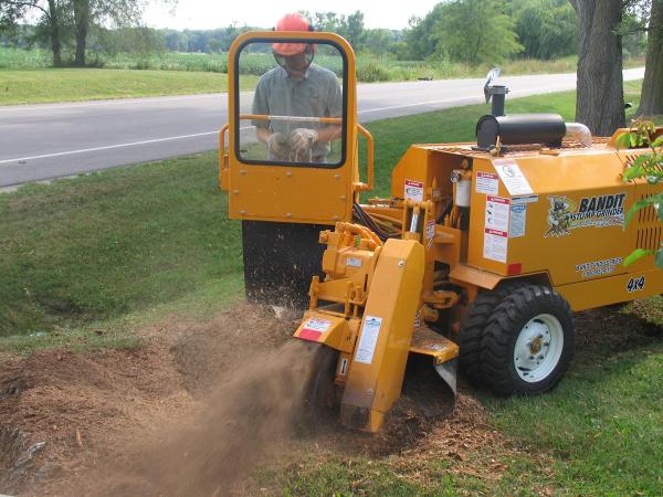 Pearland Tree Service