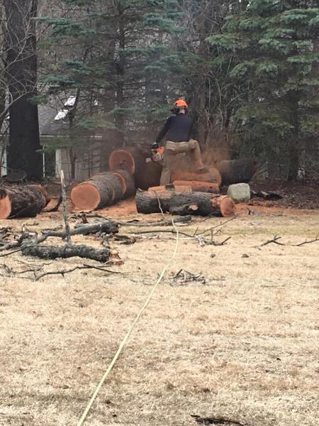 Orchard Tree Service