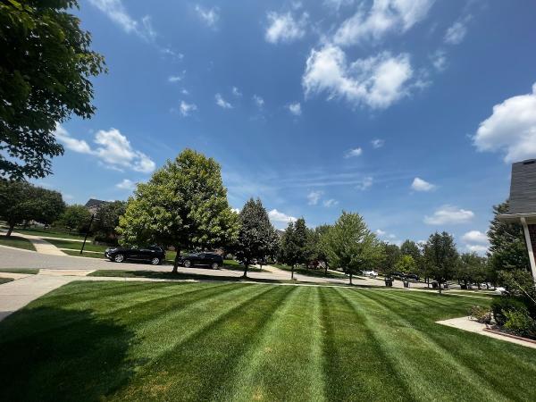 Mason Property Management