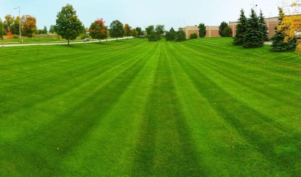 Quality Landscape and Lawn Care