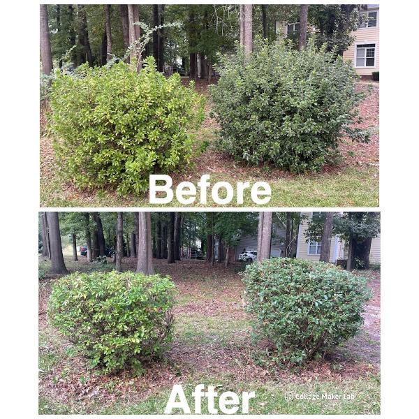 Big 5 Lawncare