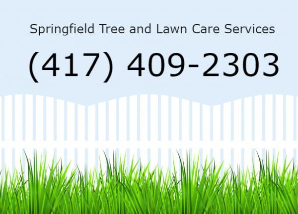 417 Tree Service & Lawn