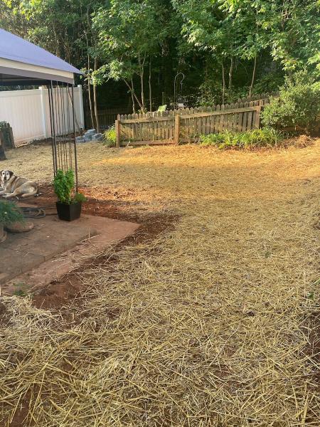 Superior Lawn and Landscaping