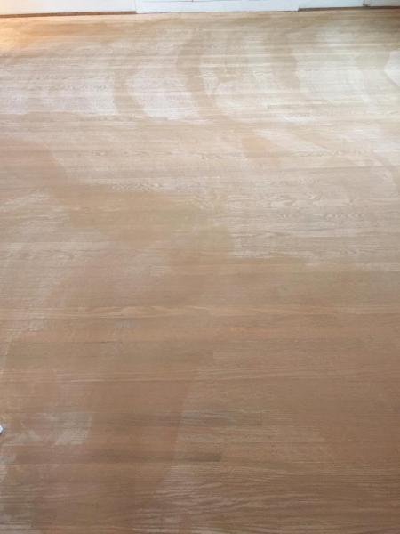 PDX Carpet Cleaning