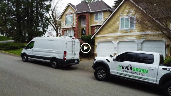 Evergreen Pro Painting 1
