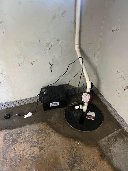 Effective Basement Solutions
