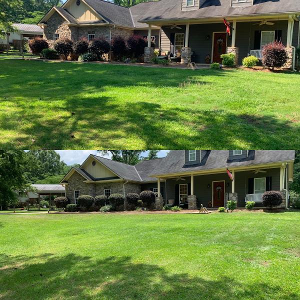 ALL PRO Lawn Services LLC