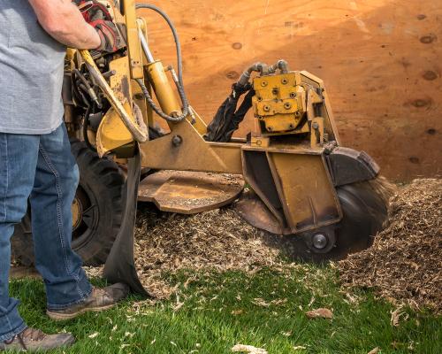 San Angelo Stump Removal