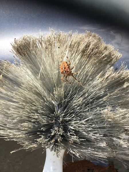 Bugbountyhuntersllc