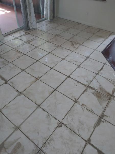 Sunshine Carpet Cleaning