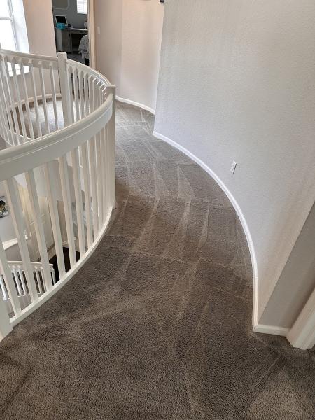 Sunshine Carpet Cleaning