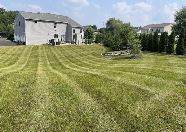 Blue Ridge Landscape Contractors