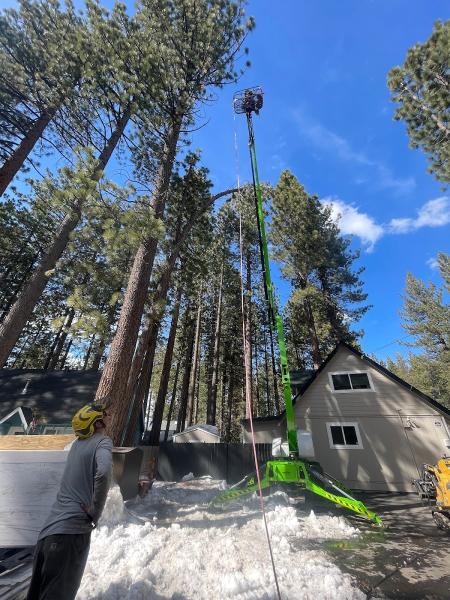 Turner Tree Service LLC
