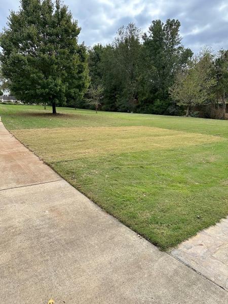 Veteran's Lawn Care & Landscaping LLC
