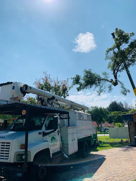 Brian's Quality Tree Service