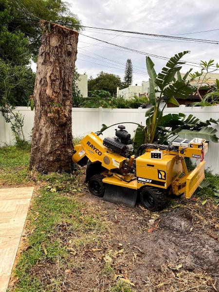 Brian's Quality Tree Service