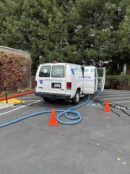 Extreme Steam Carpet Cleaning
