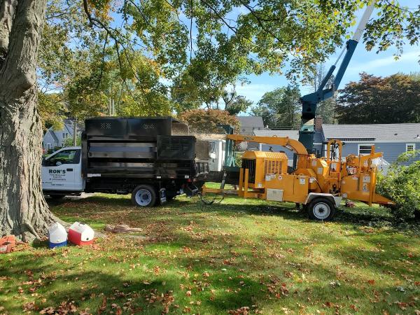 Ron's Tree Removal