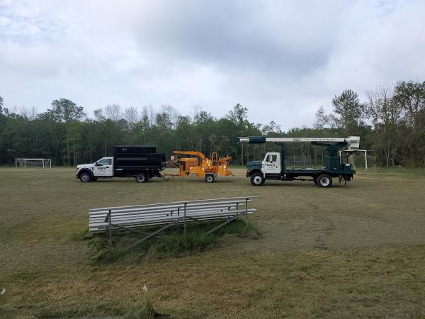 Ron's Tree Removal