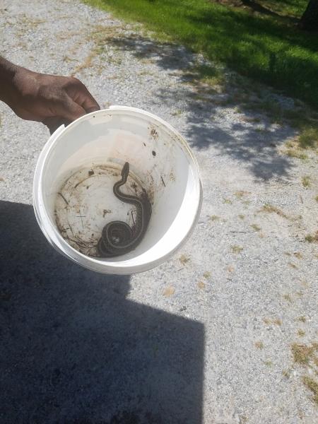 Delmar Pest Control