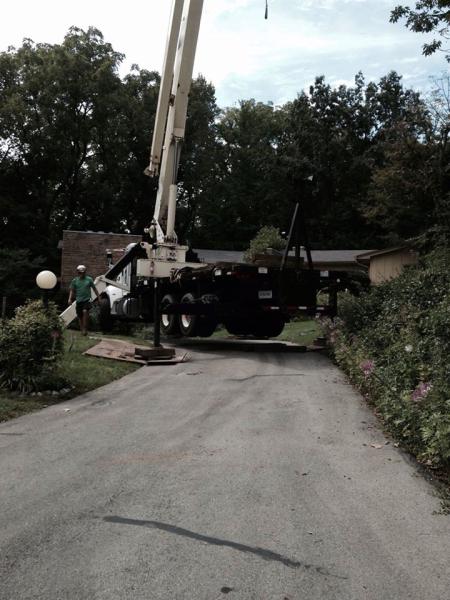 Economy Springfield Tree Service