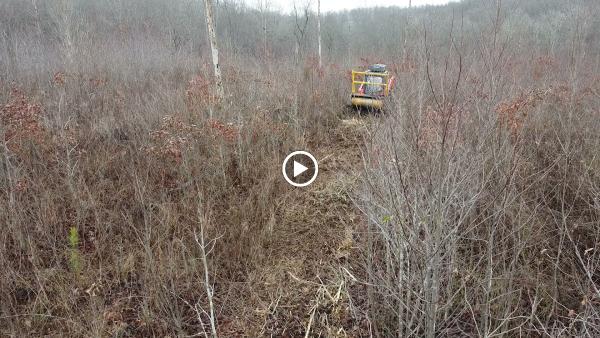 Nashville Land Management Services