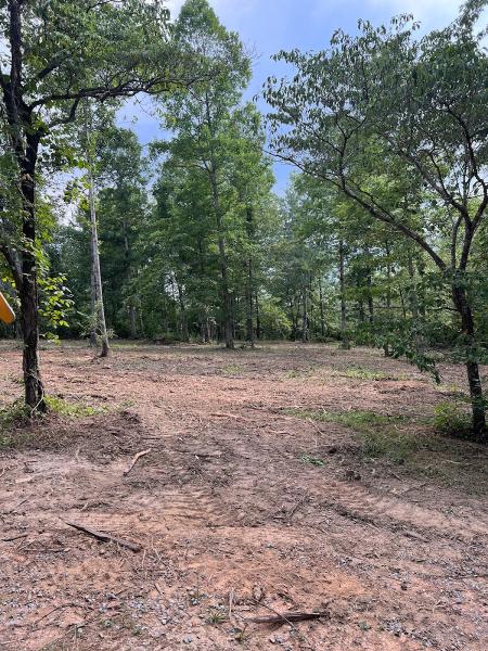 Nashville Land Management Services