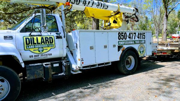 Dillard Land Services
