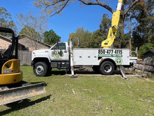 Dillard Land Services